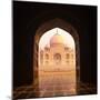 India. Taj Mahal Indian Palace. Islam Architecture. Door to the Mosque-Banana Republic images-Mounted Photographic Print