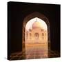 India. Taj Mahal Indian Palace. Islam Architecture. Door to the Mosque-Banana Republic images-Stretched Canvas