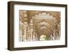 India, Uttar Pradesh, Agra, Agra Fort (Red Fort). The interior of the Red Fort.-Ellen Goff-Framed Photographic Print