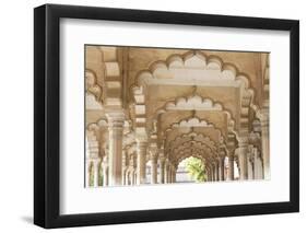 India, Uttar Pradesh, Agra, Agra Fort (Red Fort). The interior of the Red Fort.-Ellen Goff-Framed Photographic Print