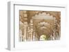 India, Uttar Pradesh, Agra, Agra Fort (Red Fort). The interior of the Red Fort.-Ellen Goff-Framed Photographic Print