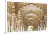 India, Uttar Pradesh, Agra, Agra Fort (Red Fort). The interior of the Red Fort.-Ellen Goff-Framed Photographic Print