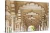 India, Uttar Pradesh, Agra, Agra Fort (Red Fort). The interior of the Red Fort.-Ellen Goff-Stretched Canvas