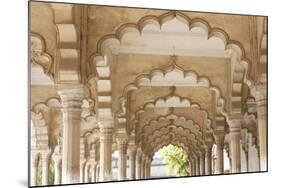 India, Uttar Pradesh, Agra, Agra Fort (Red Fort). The interior of the Red Fort.-Ellen Goff-Mounted Photographic Print