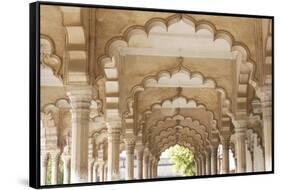 India, Uttar Pradesh, Agra, Agra Fort (Red Fort). The interior of the Red Fort.-Ellen Goff-Framed Stretched Canvas