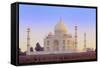 India, Uttar Pradesh, Agra, Taj Mahal in Rosy Dawn Light-Alex Robinson-Framed Stretched Canvas