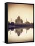 India, Uttar Pradesh, Agra, Taj Mahal (UNESCO Site) and Yamuna River at Sunset-Michele Falzone-Framed Stretched Canvas