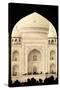 India, Uttar Pradesh, Agra, Taj Mahal (UNESCO site)-Michele Falzone-Stretched Canvas