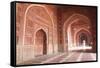 India, Uttar Pradesh, Agra. the Mosque on the Grounds of the Taj Mahal-Emily Wilson-Framed Stretched Canvas