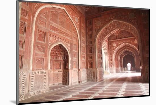 India, Uttar Pradesh, Agra. the Mosque on the Grounds of the Taj Mahal-Emily Wilson-Mounted Photographic Print