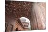 India, Uttar Pradesh, Agra. the Mosque's Arches-Emily Wilson-Mounted Premium Photographic Print