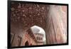 India, Uttar Pradesh, Agra. the Mosque's Arches-Emily Wilson-Framed Premium Photographic Print