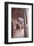 India, Uttar Pradesh, Agra. the Mosque's Arches-Emily Wilson-Framed Photographic Print