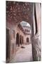India, Uttar Pradesh, Agra. the Mosque's Arches-Emily Wilson-Mounted Photographic Print