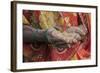 India, Uttar Pradesh, Mirzapur Woman Holding Grain-Ellen Clark-Framed Photographic Print