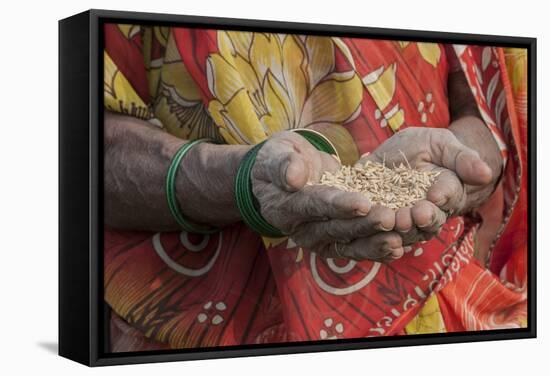 India, Uttar Pradesh, Mirzapur Woman Holding Grain-Ellen Clark-Framed Stretched Canvas