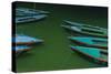 India, Varanasi 9 Blue, Red and Green Rowboats on the Green Water of the Ganges River-Ellen Clark-Stretched Canvas