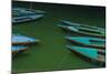 India, Varanasi 9 Blue, Red and Green Rowboats on the Green Water of the Ganges River-Ellen Clark-Mounted Photographic Print