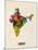 India Watercolor Map-Michael Tompsett-Mounted Art Print