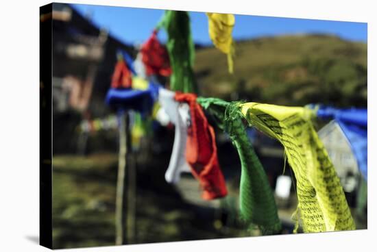 India, West Bengal, Singalila National Park, Tonglu, Buddhist Prayer Flags-Anthony Asael-Stretched Canvas