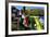 India, West Bengal, Singalila National Park, Tonglu, Buddhist Prayer Flags-Anthony Asael-Framed Photographic Print