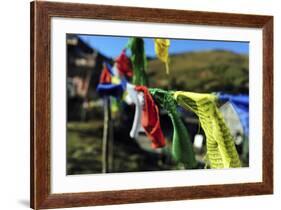 India, West Bengal, Singalila National Park, Tonglu, Buddhist Prayer Flags-Anthony Asael-Framed Photographic Print