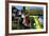 India, West Bengal, Singalila National Park, Tonglu, Buddhist Prayer Flags-Anthony Asael-Framed Photographic Print