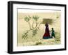 India Womens Day, Khushlawa, India-Siddharth Darshan Kumar-Framed Photographic Print