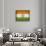 India-David Bowman-Stretched Canvas displayed on a wall