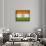 India-David Bowman-Giclee Print displayed on a wall