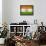 India-David Bowman-Framed Stretched Canvas displayed on a wall