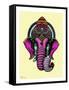 India-Mark Ashkenazi-Framed Stretched Canvas