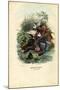 Indian, 1863-79-Raimundo Petraroja-Mounted Giclee Print
