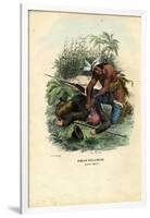 Indian, 1863-79-Raimundo Petraroja-Framed Giclee Print