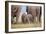 Indian Asian Elephant, Corbett National Park, India-Jagdeep Rajput-Framed Photographic Print