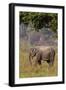 Indian Asian Elephant, Corbett National Park, India-Jagdeep Rajput-Framed Premium Photographic Print