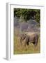 Indian Asian Elephant, Corbett National Park, India-Jagdeep Rajput-Framed Premium Photographic Print