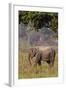 Indian Asian Elephant, Corbett National Park, India-Jagdeep Rajput-Framed Photographic Print