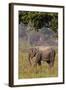 Indian Asian Elephant, Corbett National Park, India-Jagdeep Rajput-Framed Photographic Print