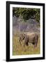 Indian Asian Elephant, Corbett National Park, India-Jagdeep Rajput-Framed Photographic Print