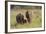 Indian Asian Elephant Family in the Savannah, Corbett NP, India-Jagdeep Rajput-Framed Photographic Print