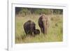 Indian Asian Elephant Family in the Savannah, Corbett NP, India-Jagdeep Rajput-Framed Photographic Print