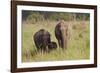 Indian Asian Elephant Family in the Savannah, Corbett NP, India-Jagdeep Rajput-Framed Photographic Print