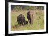 Indian Asian Elephant Family in the Savannah, Corbett NP, India-Jagdeep Rajput-Framed Photographic Print