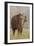 Indian Asian Elephant Feeding, Corbett National Park, India-Jagdeep Rajput-Framed Premium Photographic Print