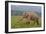 Indian Asian Elephant, Male, in the Savannah, Corbett NP, India-Jagdeep Rajput-Framed Photographic Print