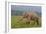 Indian Asian Elephant, Male, in the Savannah, Corbett NP, India-Jagdeep Rajput-Framed Photographic Print