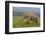 Indian Asian Elephant, Male, in the Savannah, Corbett NP, India-Jagdeep Rajput-Framed Premium Photographic Print