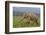 Indian Asian Elephant, Male, in the Savannah, Corbett NP, India-Jagdeep Rajput-Framed Photographic Print