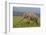 Indian Asian Elephant, Male, in the Savannah, Corbett NP, India-Jagdeep Rajput-Framed Photographic Print